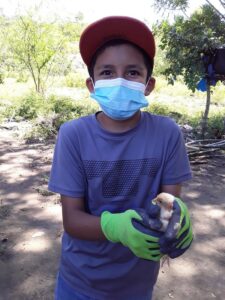 Caring for chickens at San Nicolas