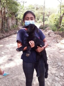 A child from Dorie's Promise holding a goat on a visit to San Nicolas